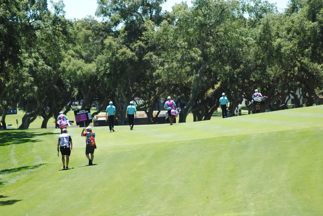 Liv Golf 202526