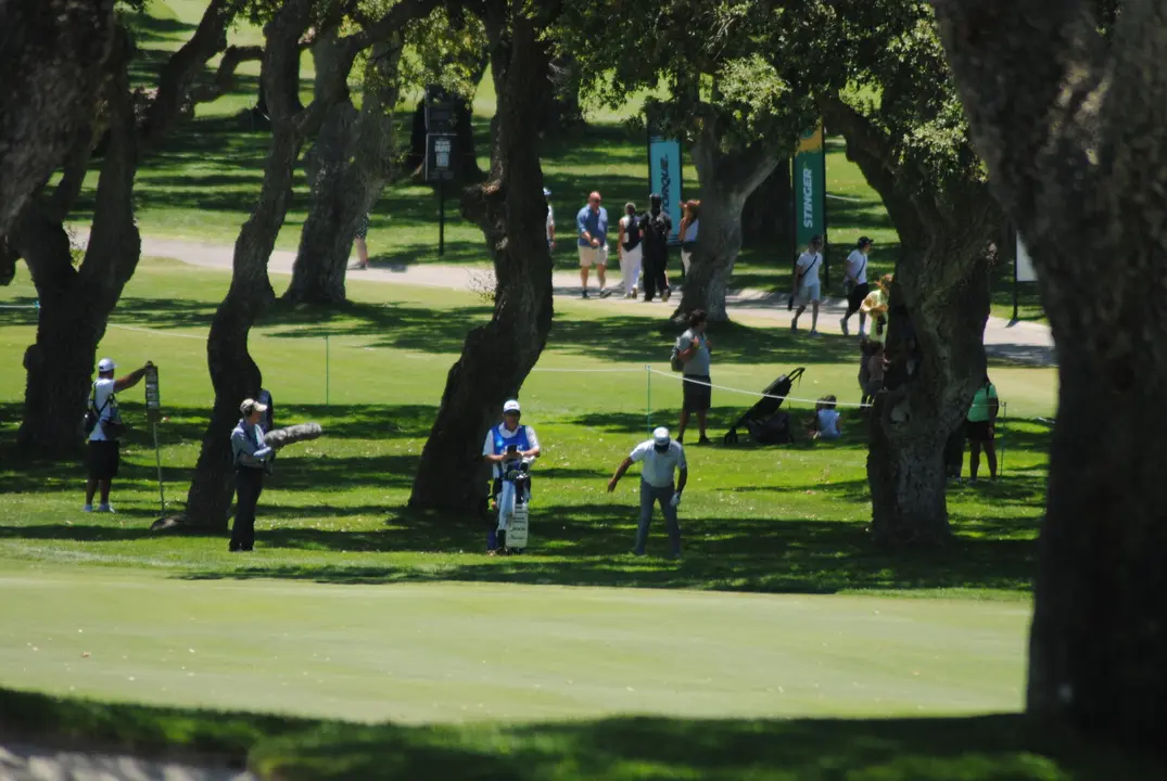 Liv Golf 202531
