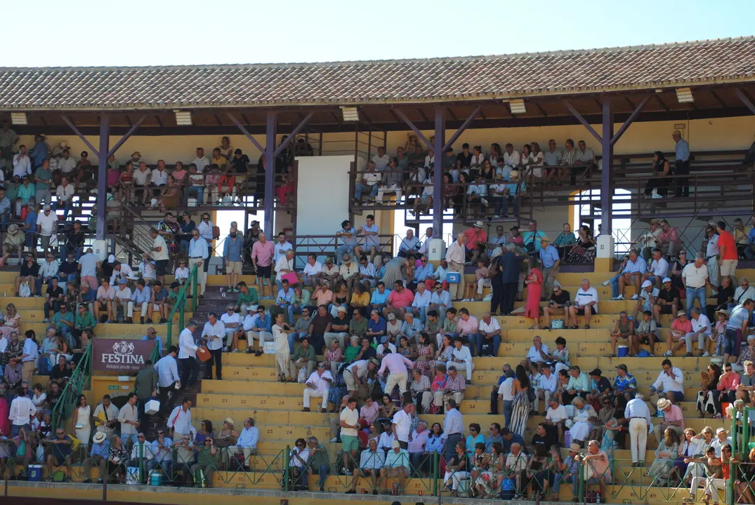 Toros en La Línea1