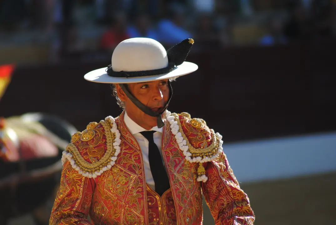 Toros en La Línea3