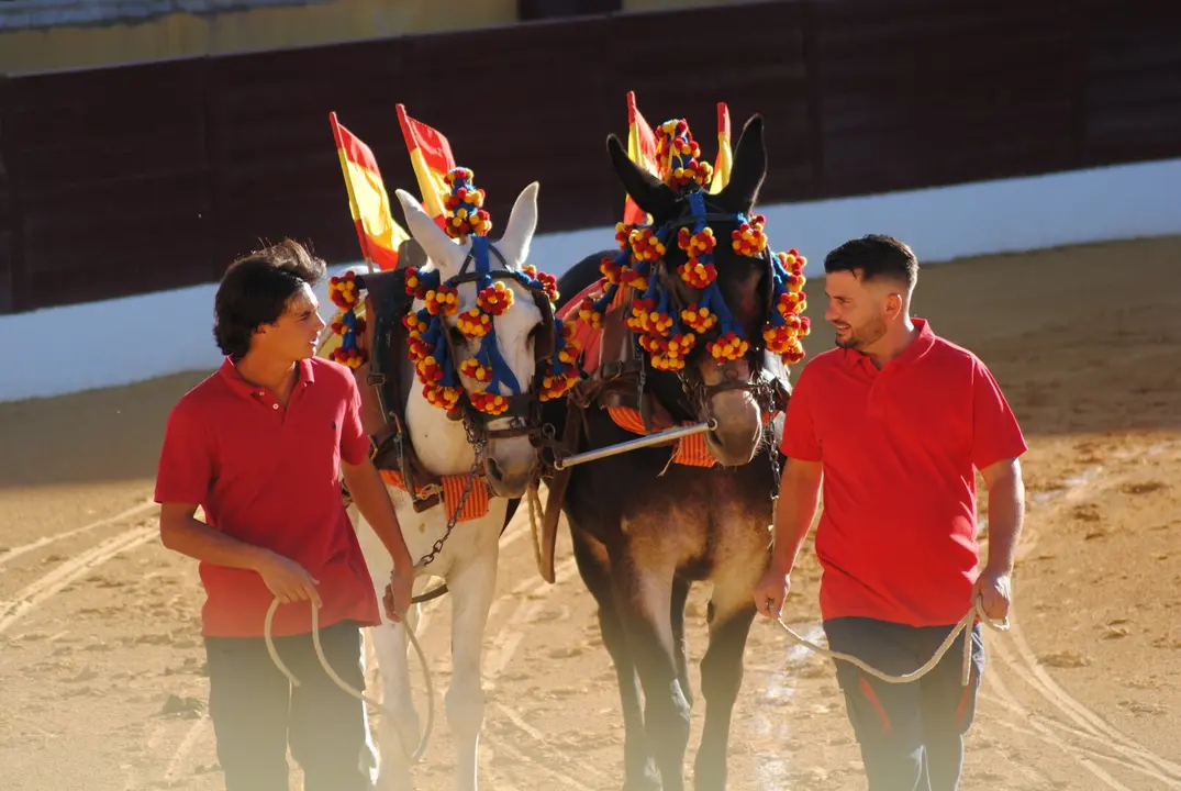 Toros en La Línea5