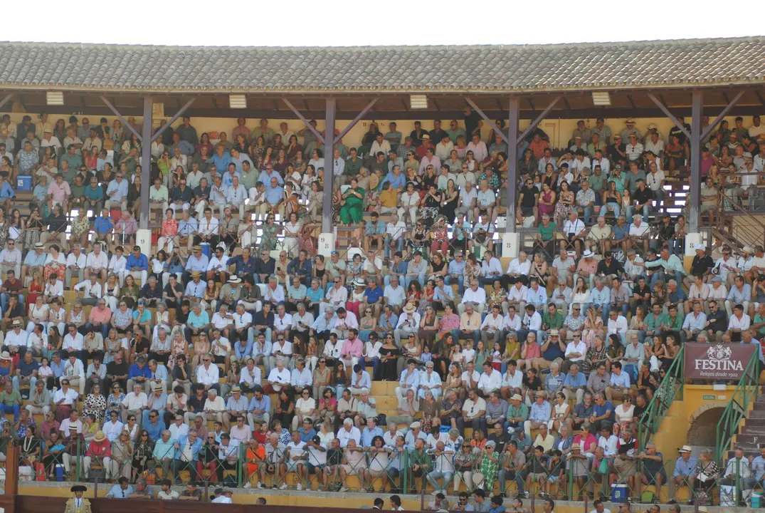 Toros en La Línea8