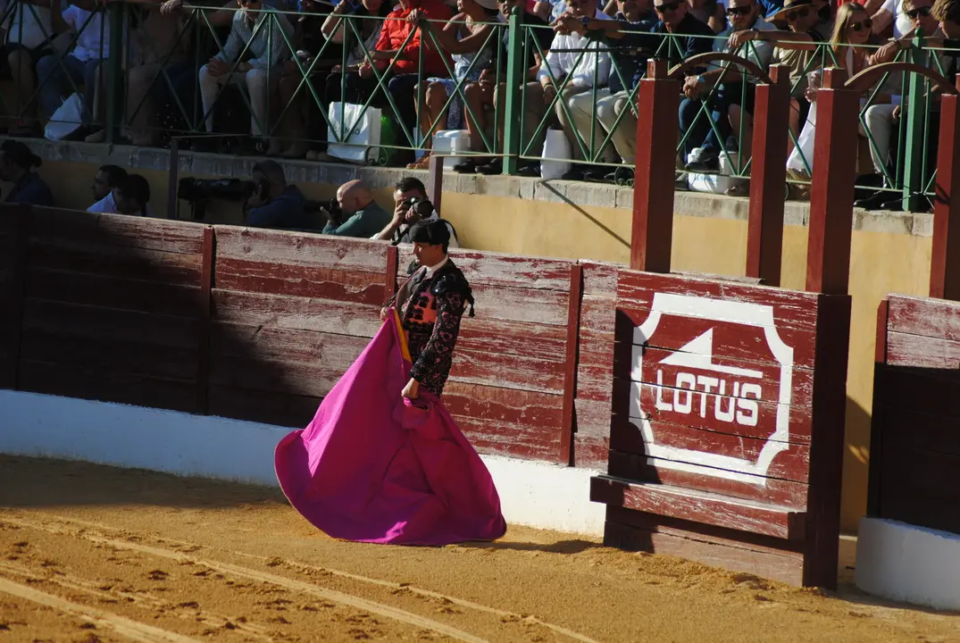 Toros en La Línea9