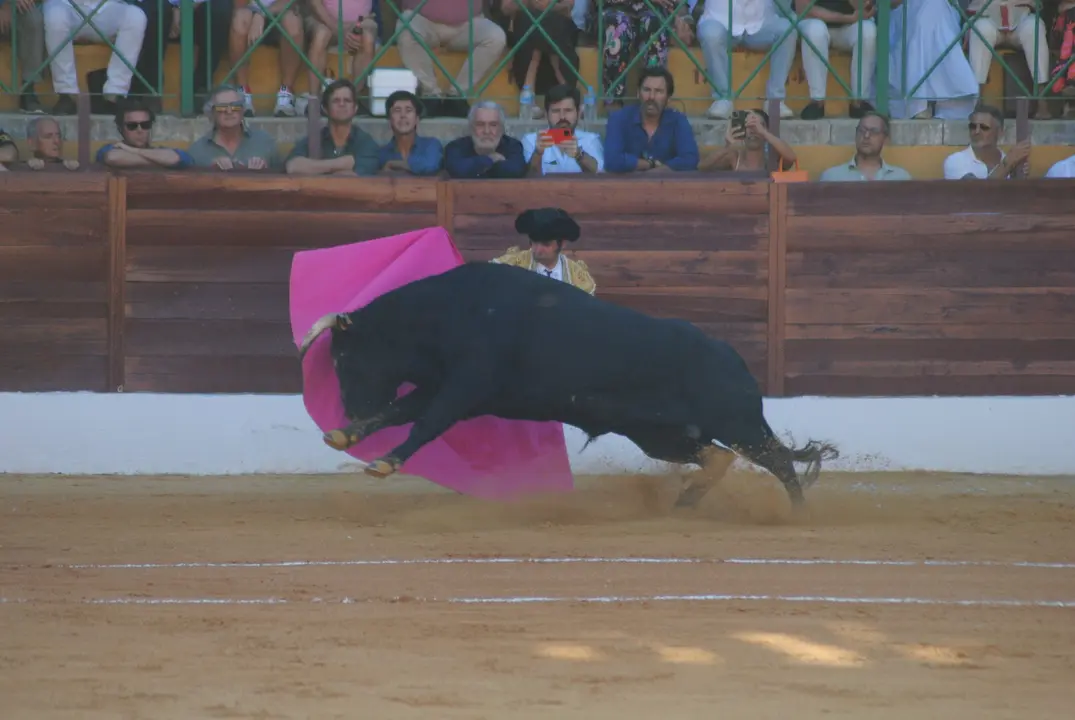 Toros en La Línea10