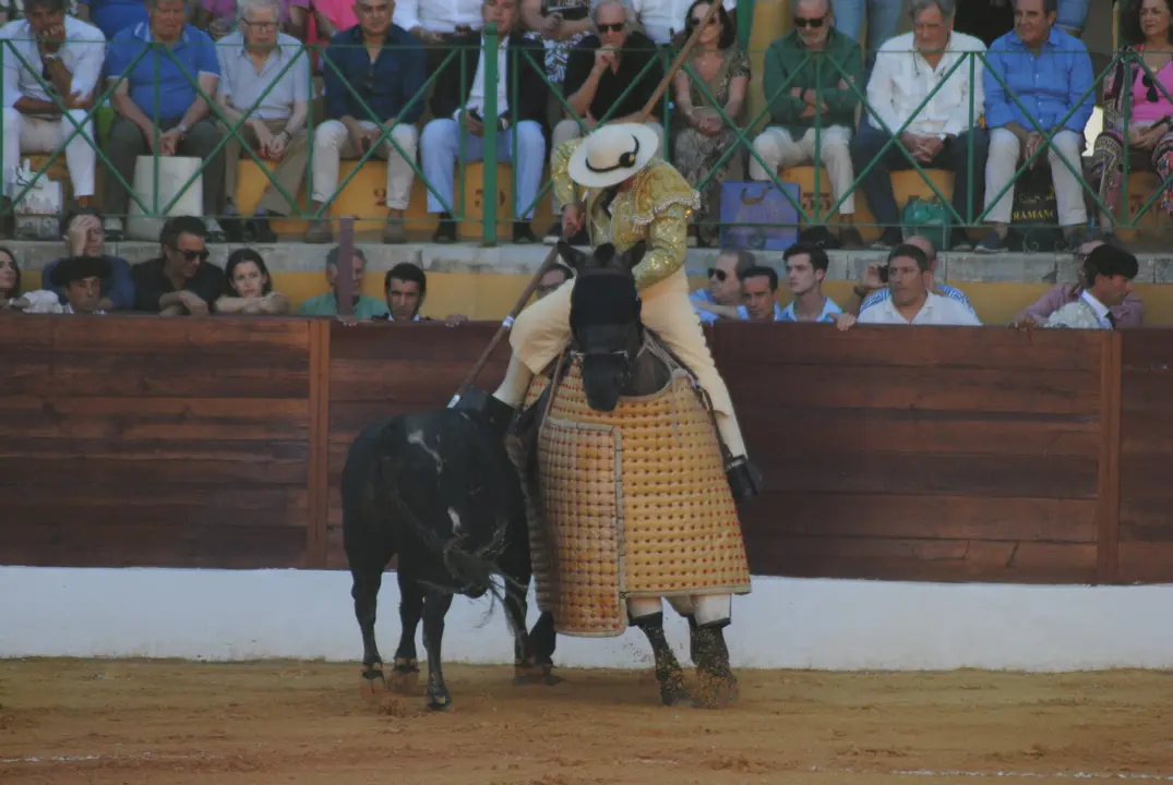 Toros en La Línea11