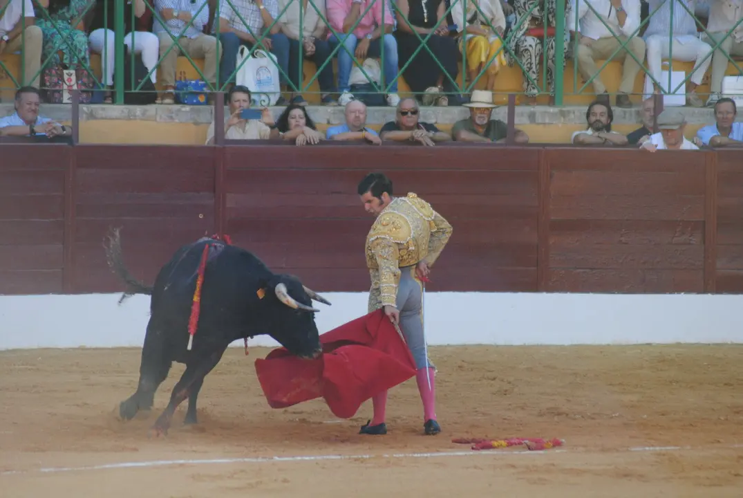 Toros en La Línea14