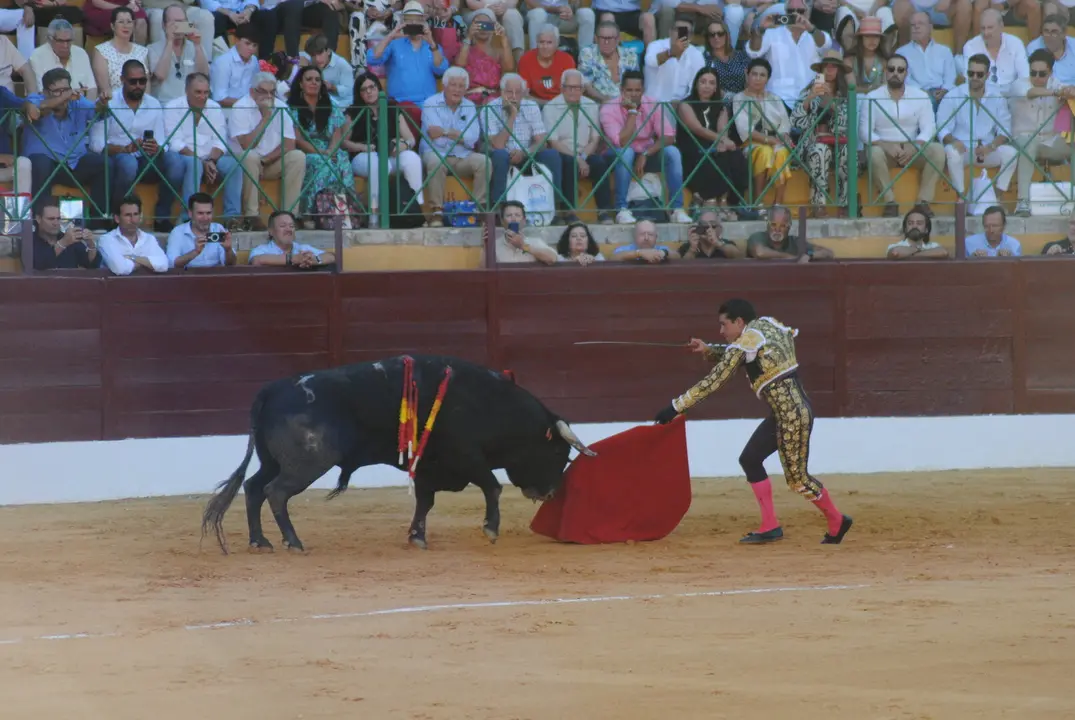 Toros en La Línea15