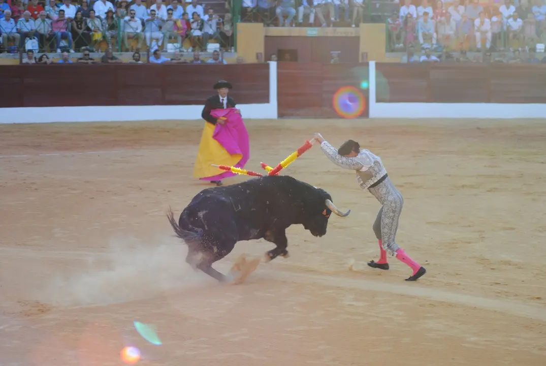 Toros en La Línea17