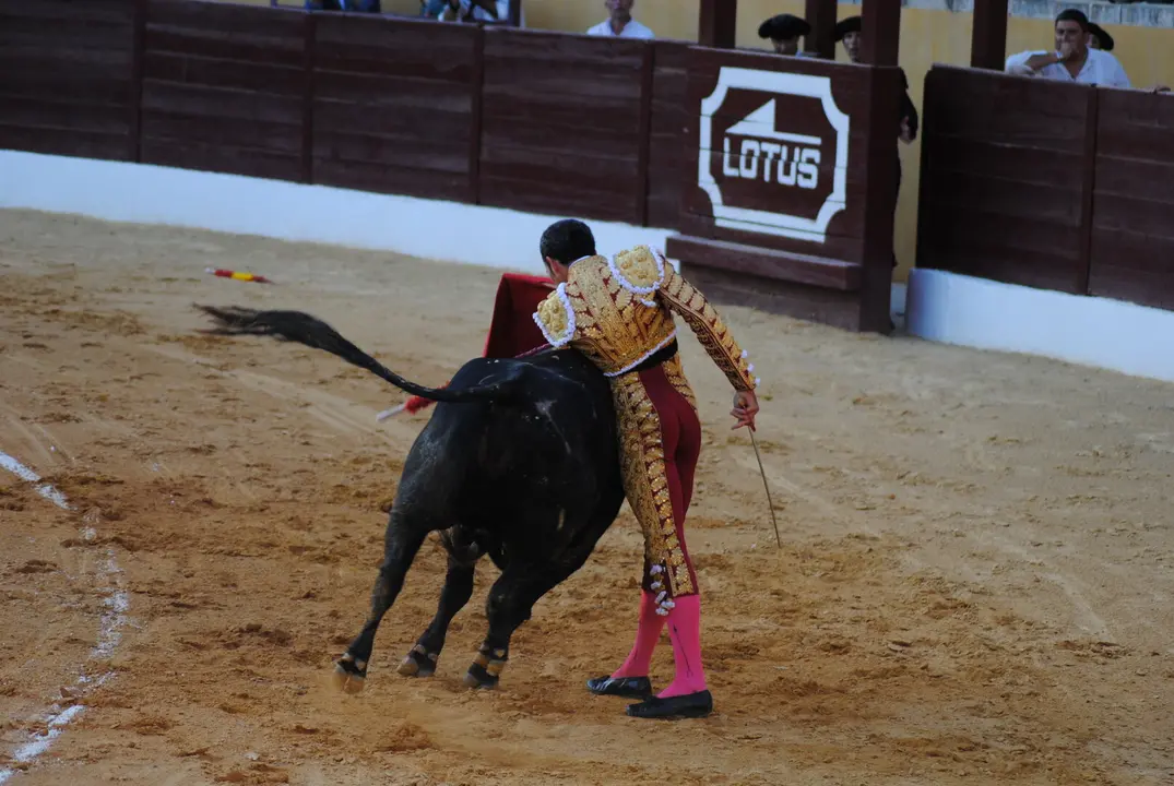 Toros en La Línea18