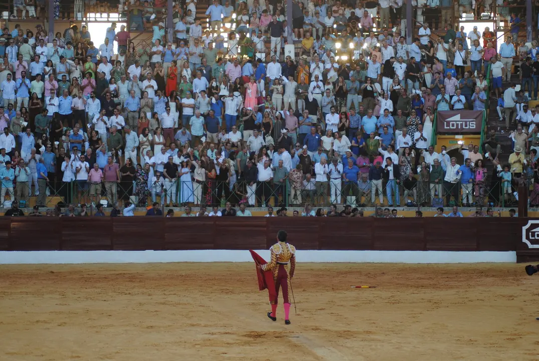 Toros en La Línea19