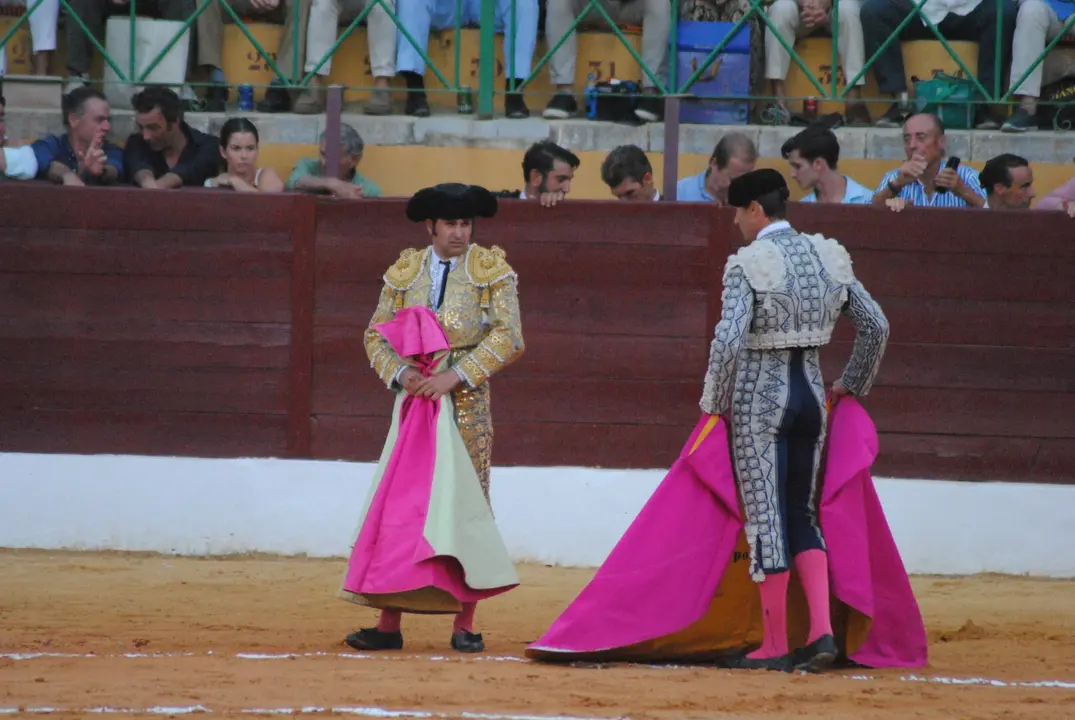 Toros en La Línea22