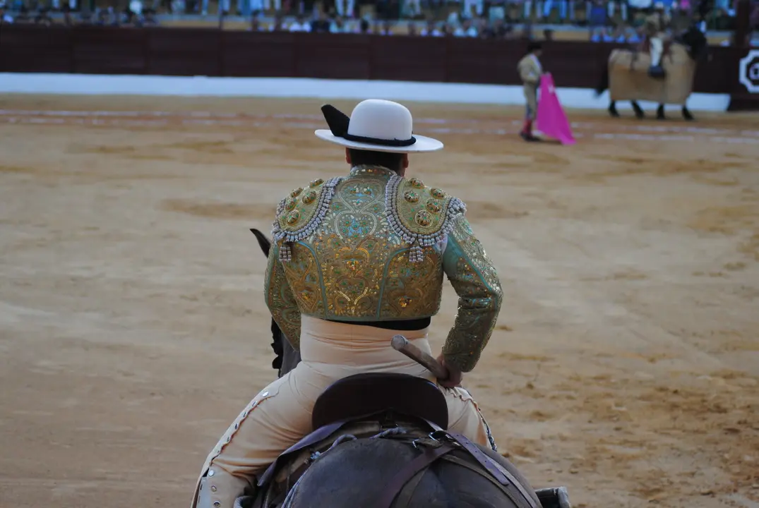 Toros en La Línea23