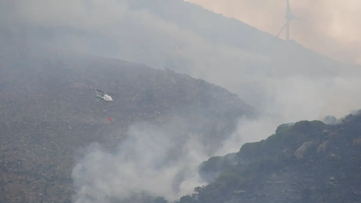 Incendio de Tarifa 11