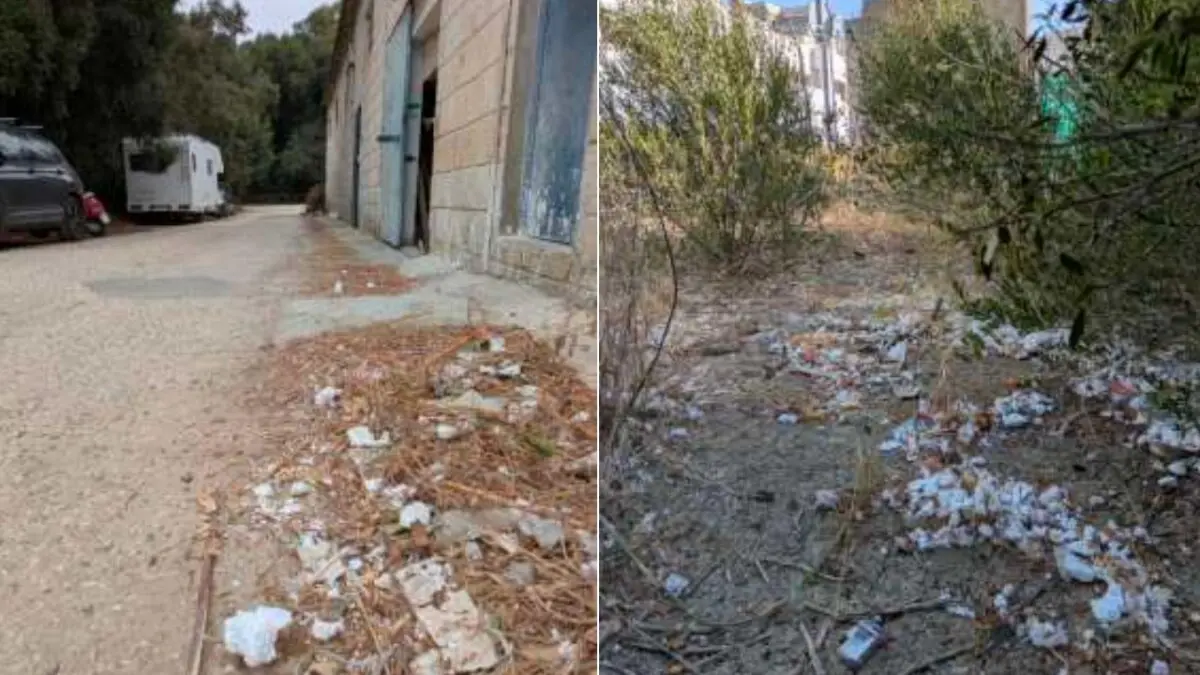 Presencia de este material en zonas de Tarifa 