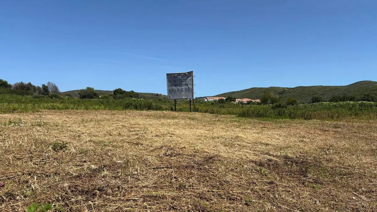 Suelos donde iría ubicado el nuevo centro escolar 