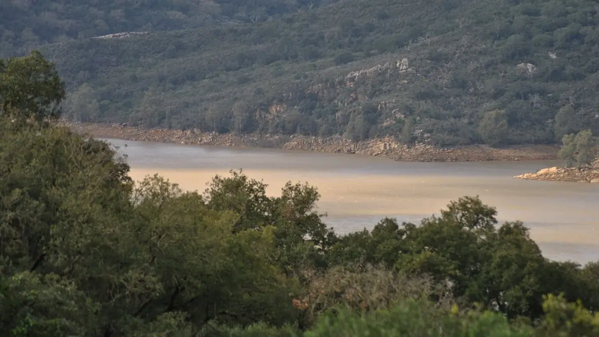 El helicóptero aún no ha sido rescatado del pantano