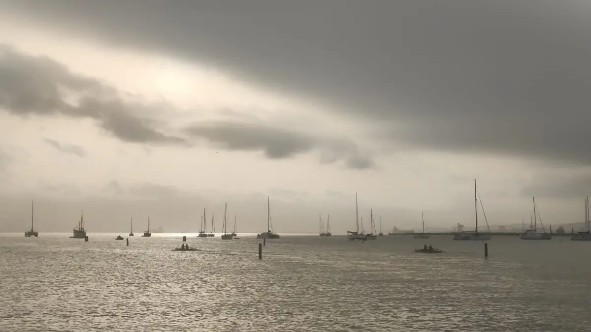 Remo en aguas de  La Línea7