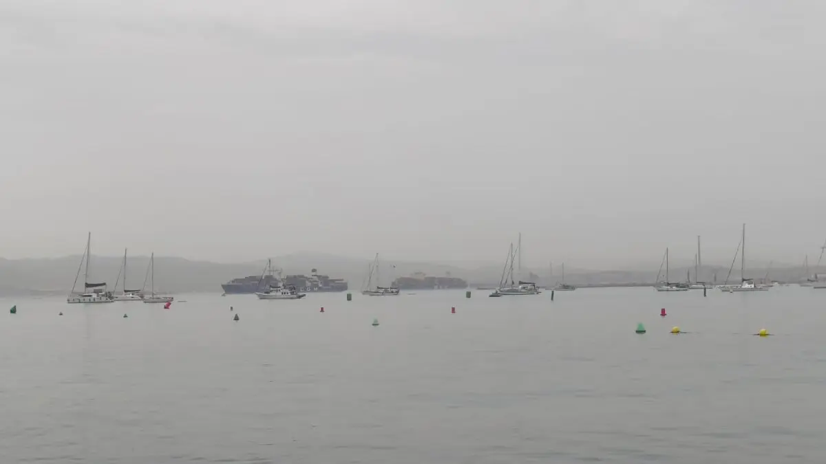 Remo en aguas de  La Línea12