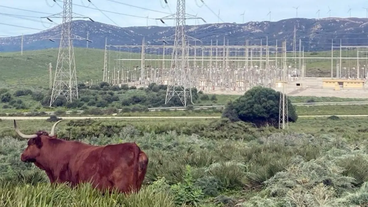 Hacia la industrializaci&oacute;n del  Valle de la Luz