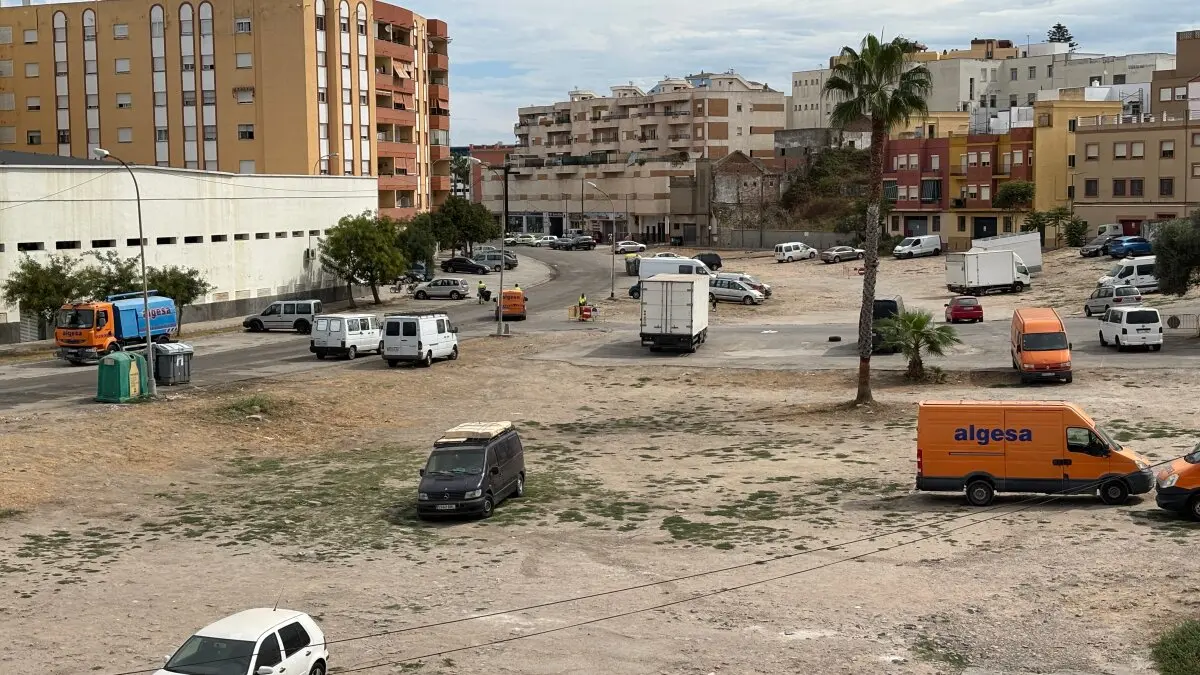 Limpieza zona de Carteya 9