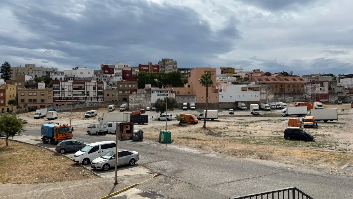 Limpieza zona de Carteya 10