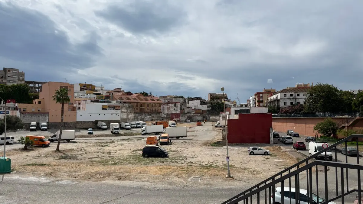 Limpieza zona de Carteya 12