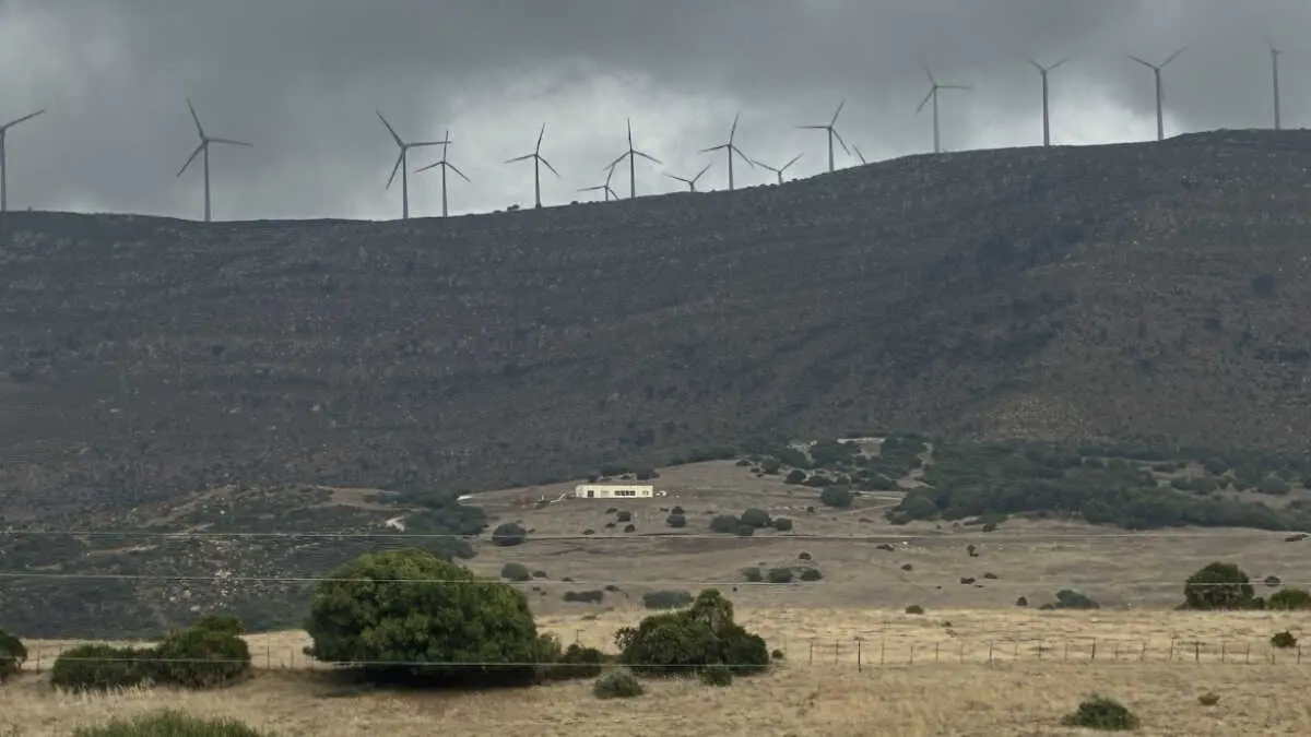 Dehesa de Las Pi&ntilde;as, Tarifa - FOTO: Ecologistas en Acci&oacute;n