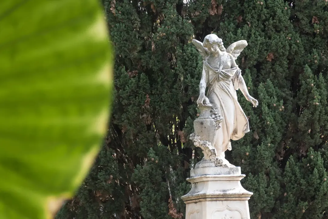 Familias y fieles rinden homenaje en el Cementerio Antiguo el 1 de noviembre_13