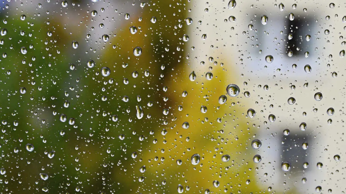 Lluvias