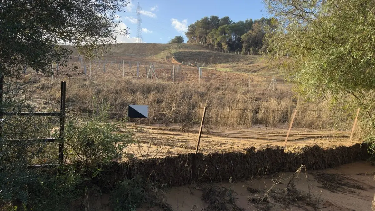 Campos en San Roque da&ntilde;ados por las lluvias.