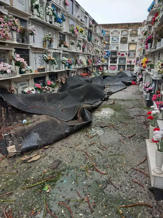 Cementerio de La L&iacute;nea