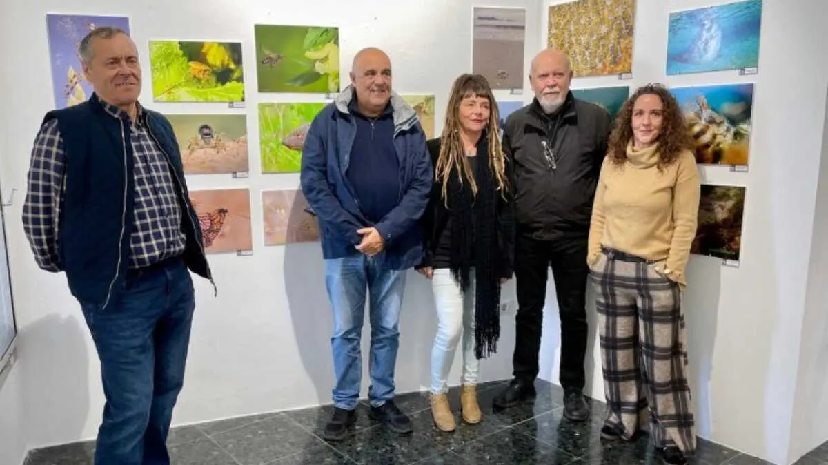 La iniciativa, ha quedado inaugurada en la tercera planta del edificio cultural