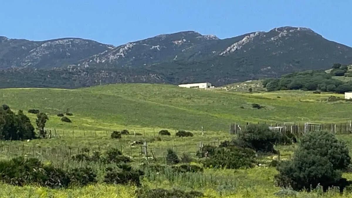 Vista de la zona de Las Pi&ntilde;as, en Tarifa, donde Ecologistas en Acci&oacute;n reclama la paralizaci&oacute;n del proyecto urban&iacute;stico anulado por sentencia judicial