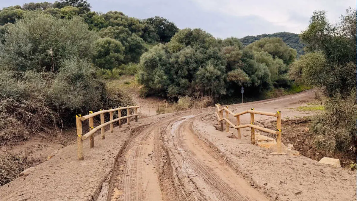 El temporal descarg&oacute; en Jimena hasta 260 litros por metro cuadrado en 24 horas, provocando inundaciones, la evacuaci&oacute;n de 17 familias y el aislamiento temporal por carretera tras el corte de la v&iacute;a que conecta con Algeciras