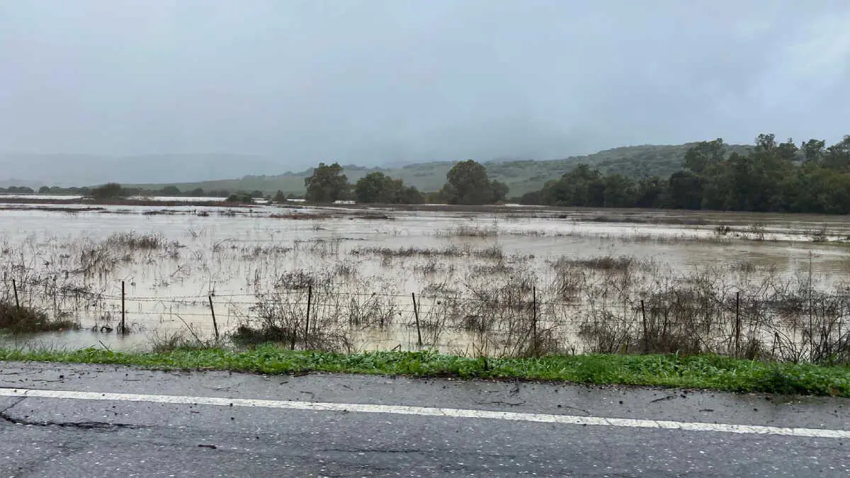 Verdemar alerta del riesgo de inundaciones en la futura planta fotovoltaica &ldquo;La Herradura&rdquo; en Jimena de la Frontera