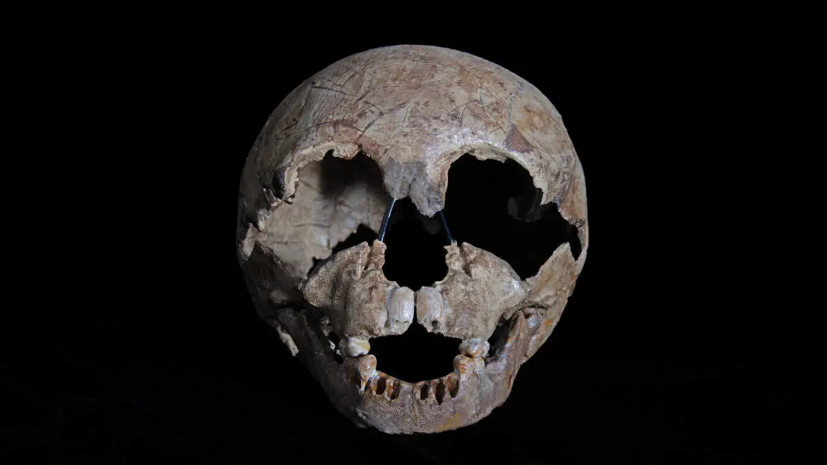 Los restos, pertenecientes a un ni&ntilde;o de unos cuatro a&ntilde;os, fueron objeto de una reconstrucci&oacute;n forense realizada por los artistas neerlandeses Kennis & Kennis, que dio origen al popular personaje de Flint
