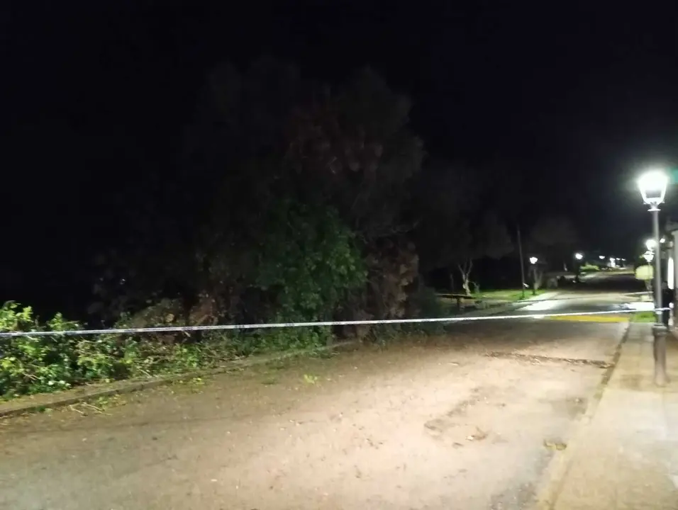 Consecuencias del temporal y de la actividad registrada durante el fin de semana en distintos puntos del Campo de Gibraltar.