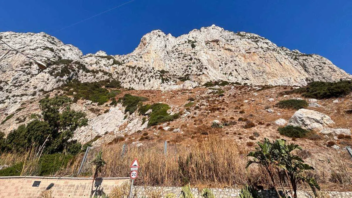 El Ejecutivo se&ntilde;ala que cualquier actuaci&oacute;n que da&ntilde;e o altere nidos activos puede suponer una infracci&oacute;n de la Ley de Protecci&oacute;n de la Naturaleza de 1991