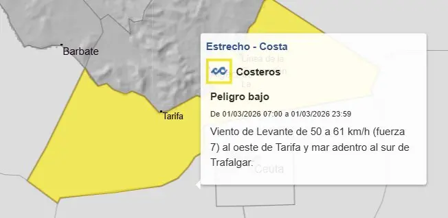 Captura de pantalla 2026-02-28 215208