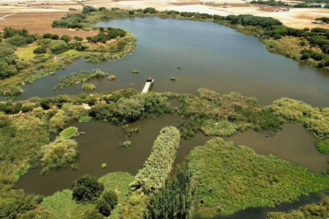 Vista de uno de los humedales restaurados que contribuyen a la conservaci&oacute;n de especies protegidas.