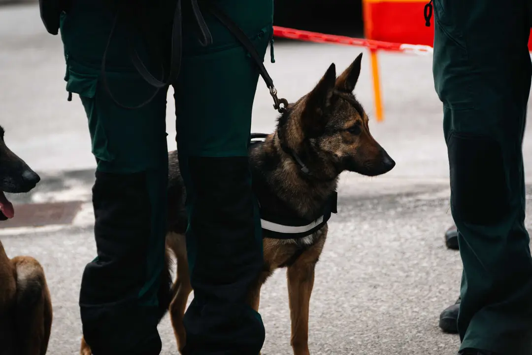 Toma de posesi&oacute;n del nuevo jefe de la Comandancia de la Guardia Civil de Algeciras_004