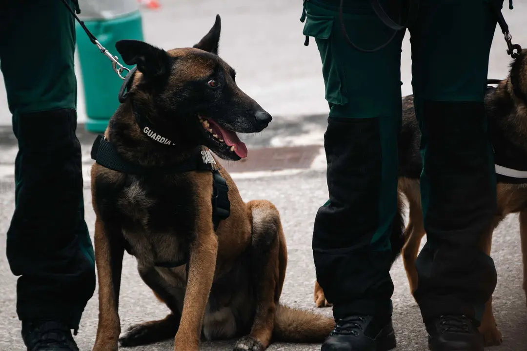 Toma de posesi&oacute;n del nuevo jefe de la Comandancia de la Guardia Civil de Algeciras_005