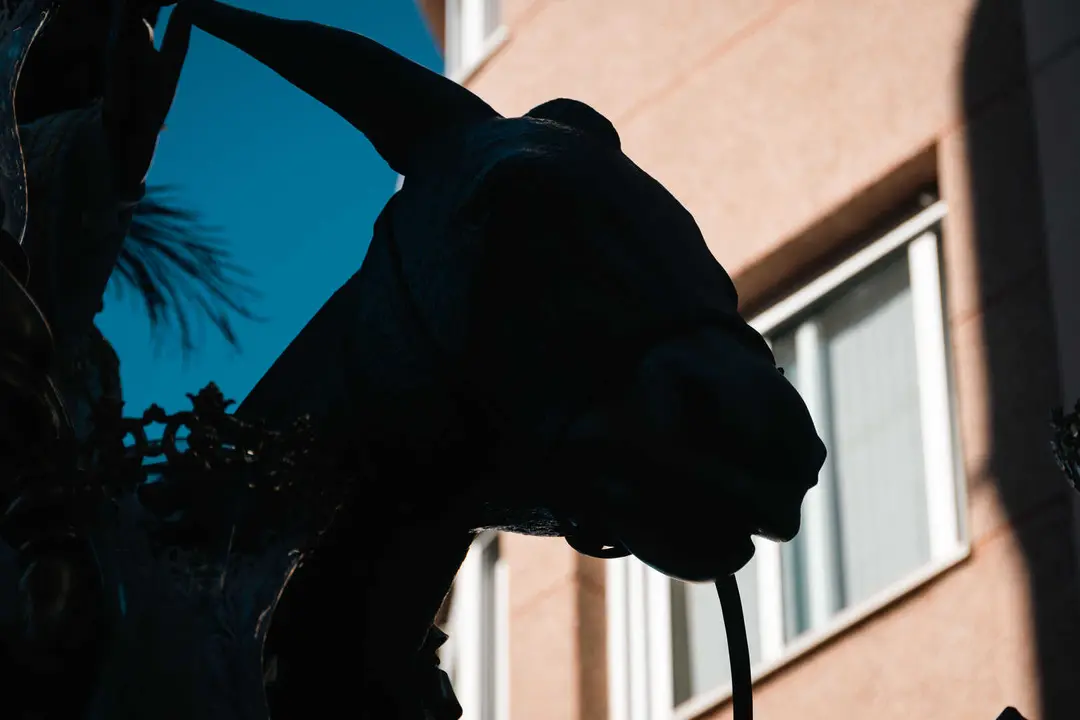 Domingo de Ramos en Algeciras- ambiente, tradici&oacute;n y primeras salidas_006