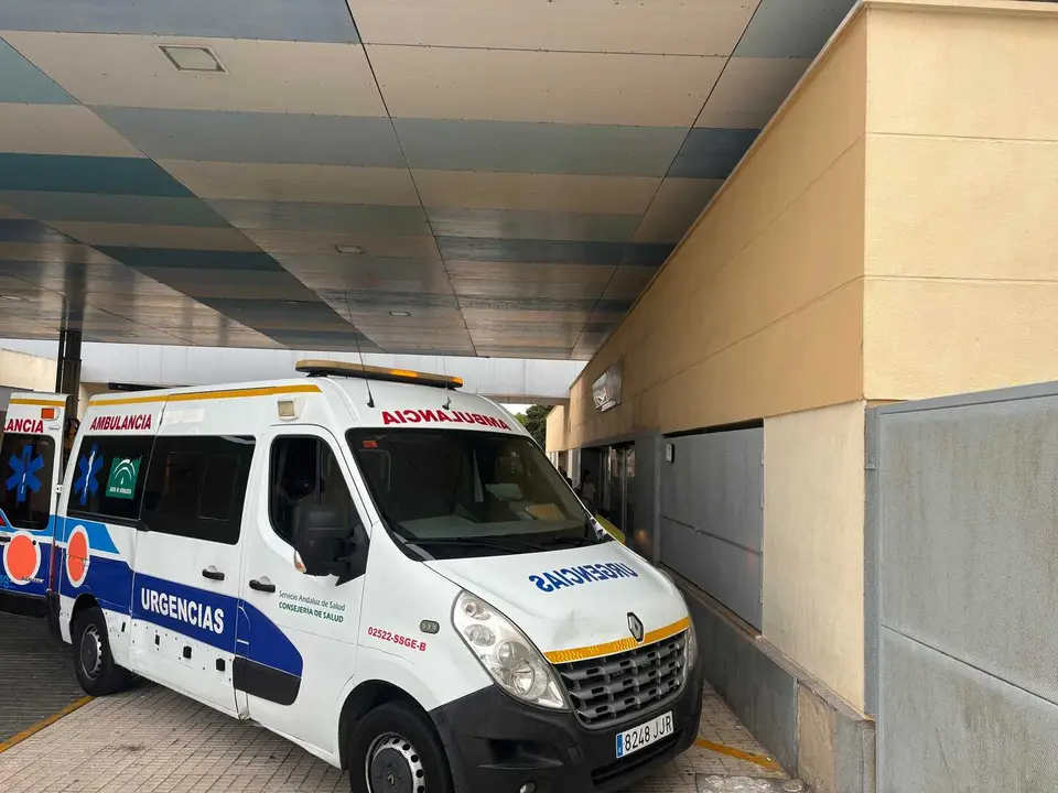 Desde la sala coordinadora del 1-1-2, organismo dependiente de la Junta de Andaluc&iacute;a
, se activ&oacute; al Centro de Emergencias Sanitarias 061, as&iacute; como a efectivos de la Guardia Civil
, Polic&iacute;a Local, Bomberos
 y otros organismos como la Inspecci&oacute;n de Trabajo y el Centro Provincial de Riesgos Laborales.
