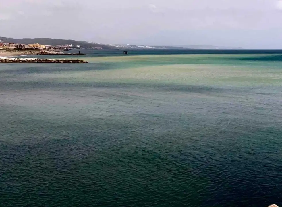 Imagen de archivo del litoral en la Bah&iacute;a de Algeciras, zona afectada por las denuncias ambientales