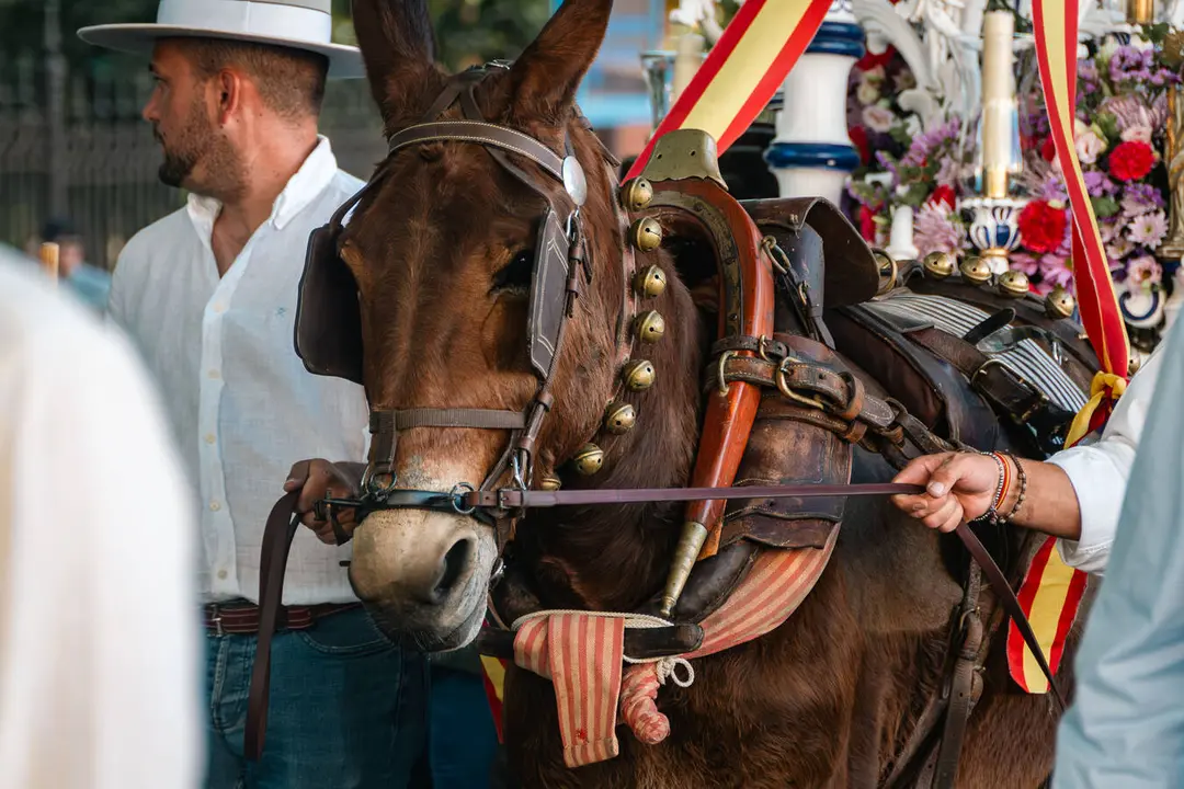 La salida de la Hermandad del Roc&iacute;o de Algeciras_25_FOTO FJ BEN&Iacute;TEZ