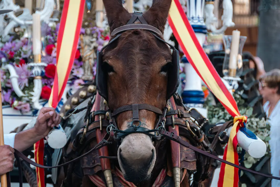La salida de la Hermandad del Roc&iacute;o de Algeciras_38_FOTO FJ BEN&Iacute;TEZ