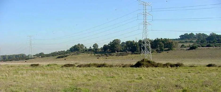 Vista general del entorno afectado por el desarrollo urban&iacute;stico de San Bernab&eacute;