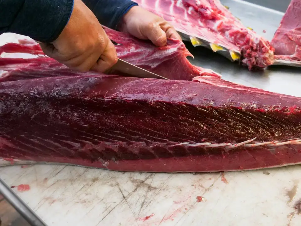 Imagen de una pieza de at&uacute;n rojo durante un ronqueo tradicional previo a su elaboraci&oacute;n gastron&oacute;mica