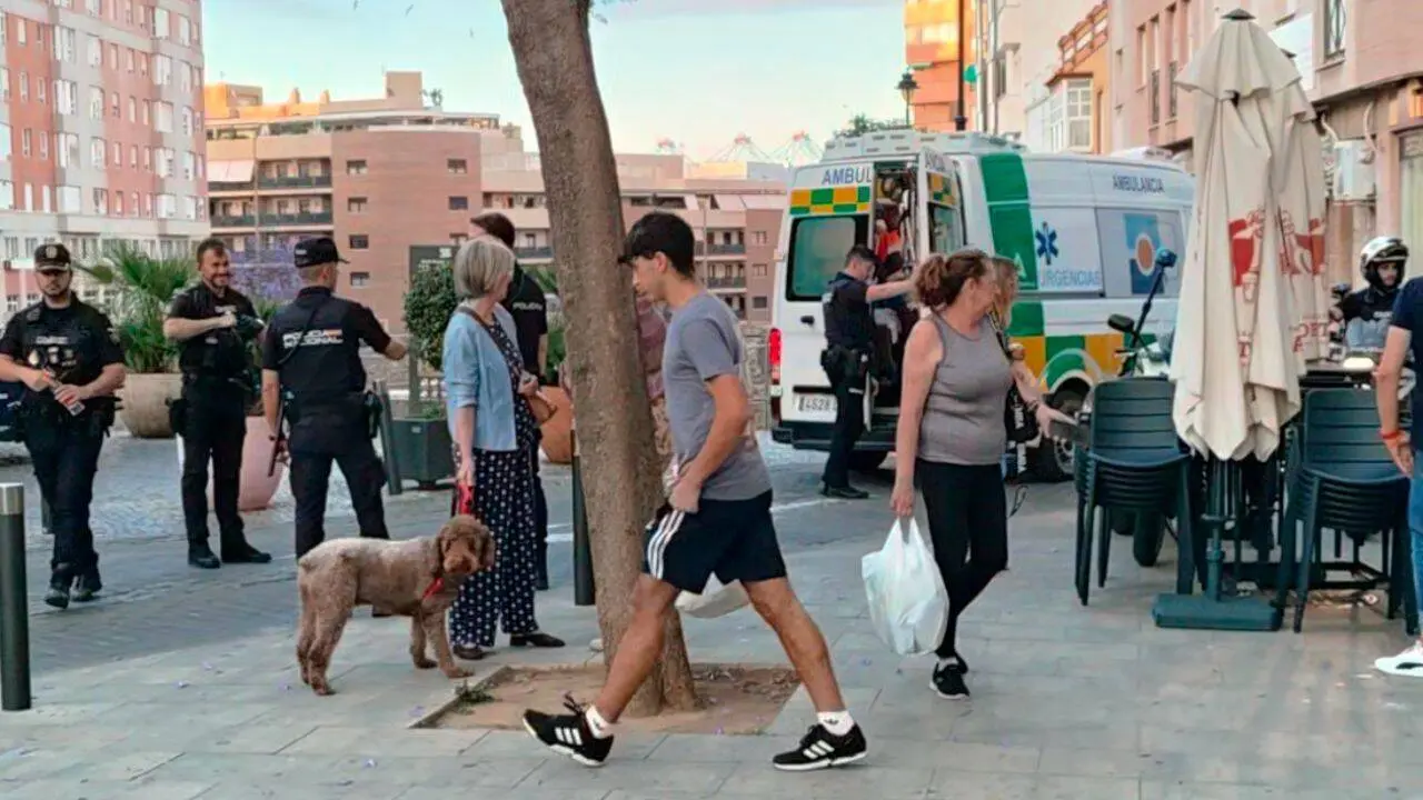 Veh&iacute;culos policiales y sanitarios durante la intervenci&oacute;n desarrollada en la zona de La Jara